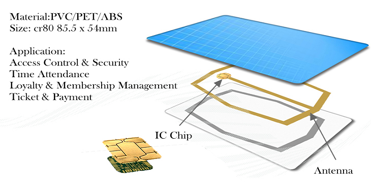 Membership Chip Card Structure