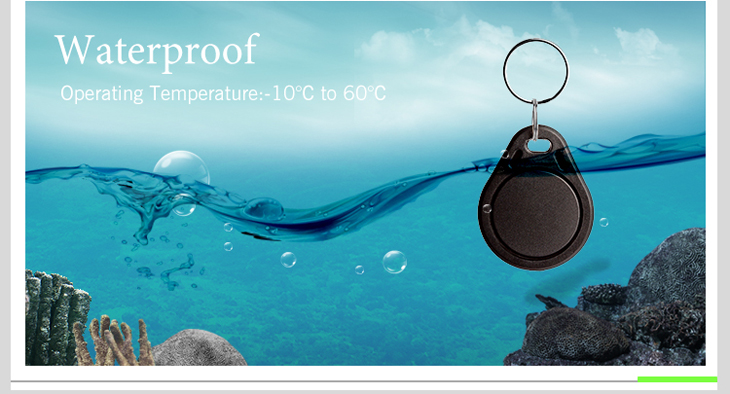 Waterproof RFID Key Fob With EM4200 Chip