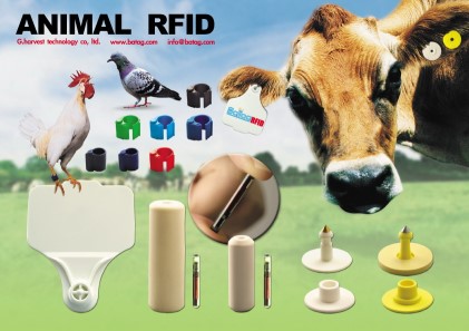 rfid animal ear tag