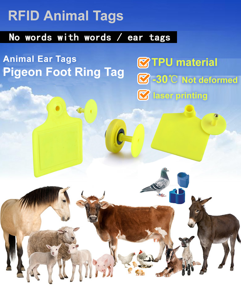 Rfid Livestock Animal Tag 