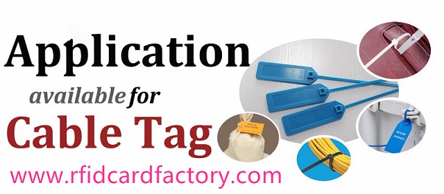 Nylon RFID Cable Tie Tag