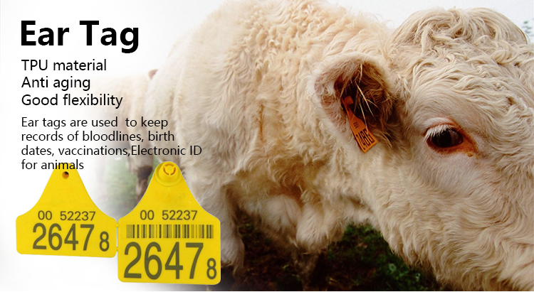 livestock ear tags