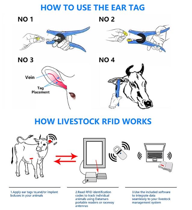 rfid ear tags for cattle