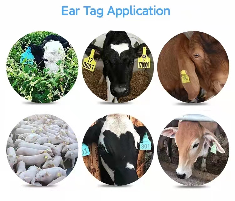livestock ear tag