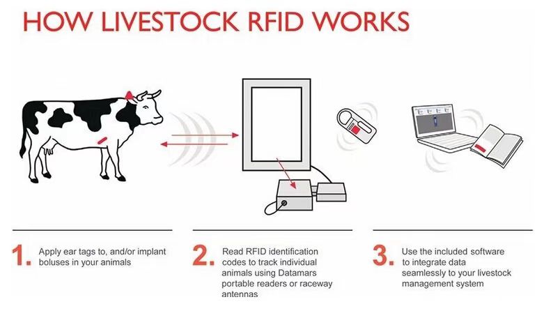  Electronic Rfid Ear Tag