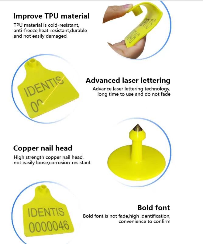 Rfid ear tags for cattle