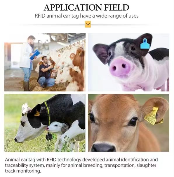 RFID Ear Tags For Cows