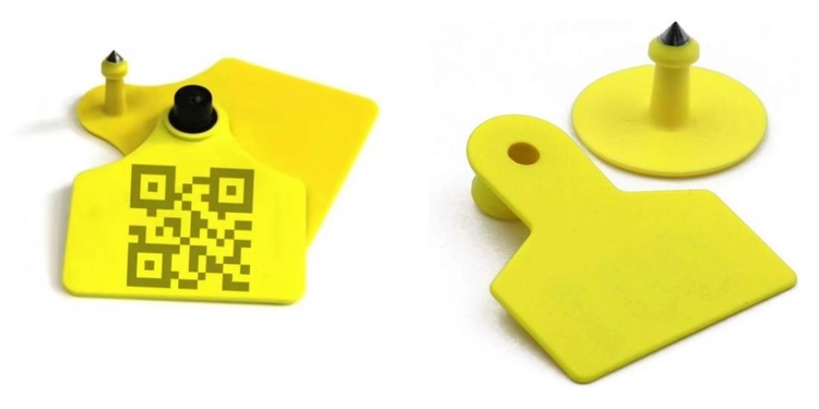 RFID ear tag for animal tracking RFID ear tag for animal tracking