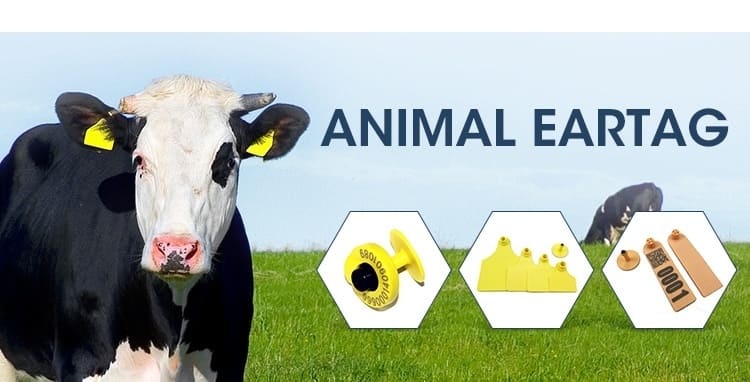 RFID Animal Tracking RFID Animal Tracking