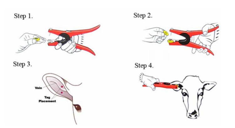 Rfid Uhf Animal Ear Tag
