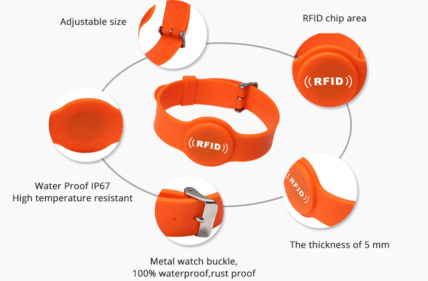 Wristband details display