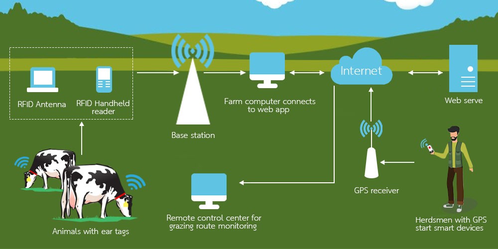 Uncover the mystery of the animal RFID tags, what role does it play?