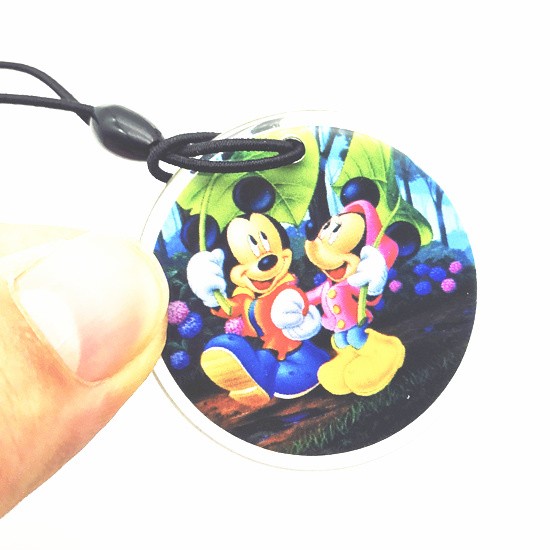 ISO14443A NFC Epoxy Round Edge Keyfob Tag