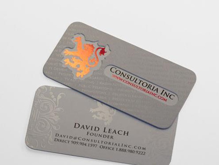 Modern Design Fashion Printing PVC Business Card