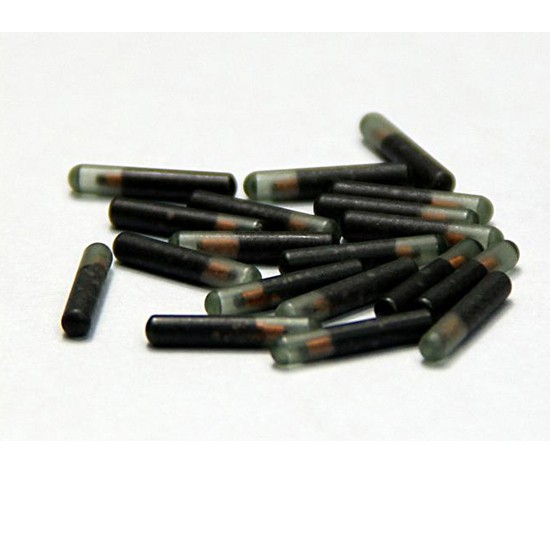 RFID Glass Tube Animal Tag