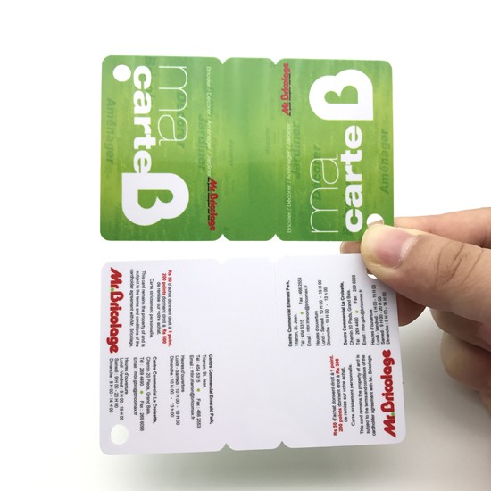 Plastic 3 Up Membership Tags PVC Combo Cards