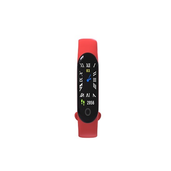 Pedometer Vibrating Alarm Rfid Fitness Watch