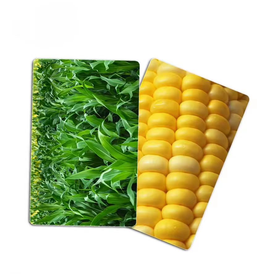Eco-friendly PLA High Quality wholesale Blank White Card with FMR11F08 Chip Factory custom Printing