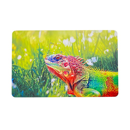 UV Barcode Printed Personalized PC Card Printed with Magstripe