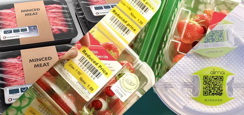 The use of RFID tags in the food and beverage processing industry