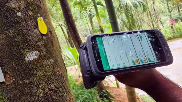 Sri Lanka forestry company uses RFID technology to track tree health